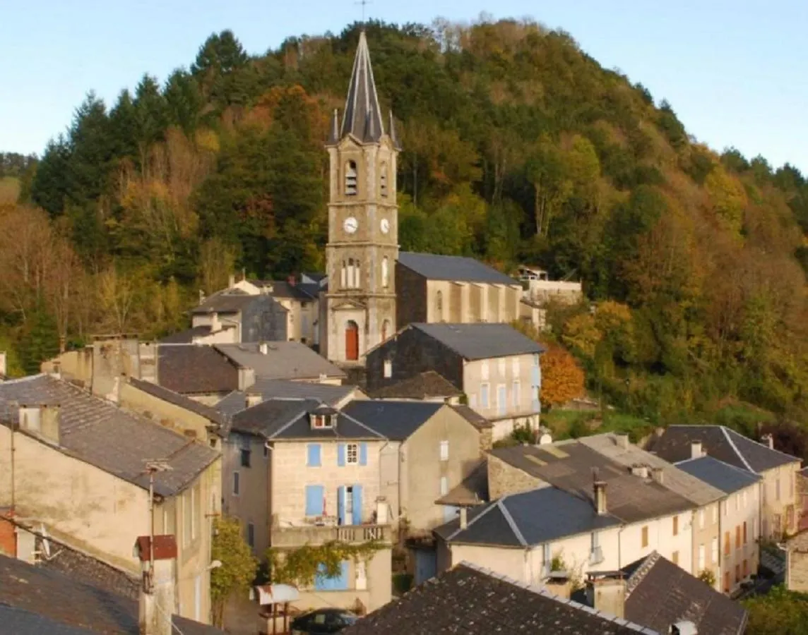 Studio Meuble Viane contacts